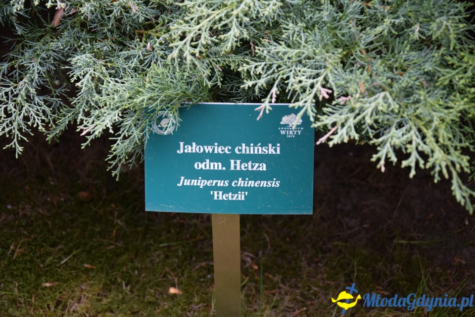 Wycieczka PTTK Klubu Turystycznego Wybrzeże do Arboretum w Wirtach