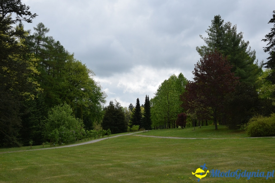 Wycieczka PTTK Klubu Turystycznego Wybrzeże do Arboretum w Wirtach