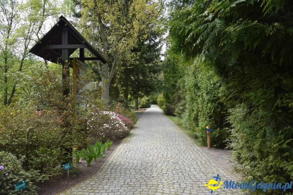 Wycieczka PTTK Klubu Turystycznego Wybrzeże do Arboretum w Wirtach