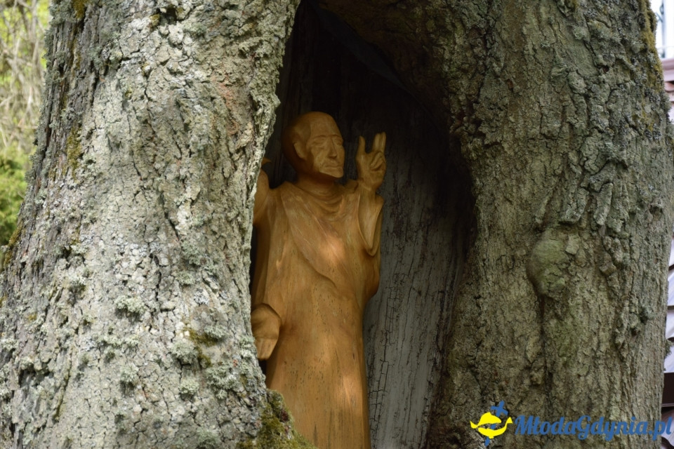 Wycieczka PTTK Klubu Turystycznego Wybrzeże do Arboretum w Wirtach