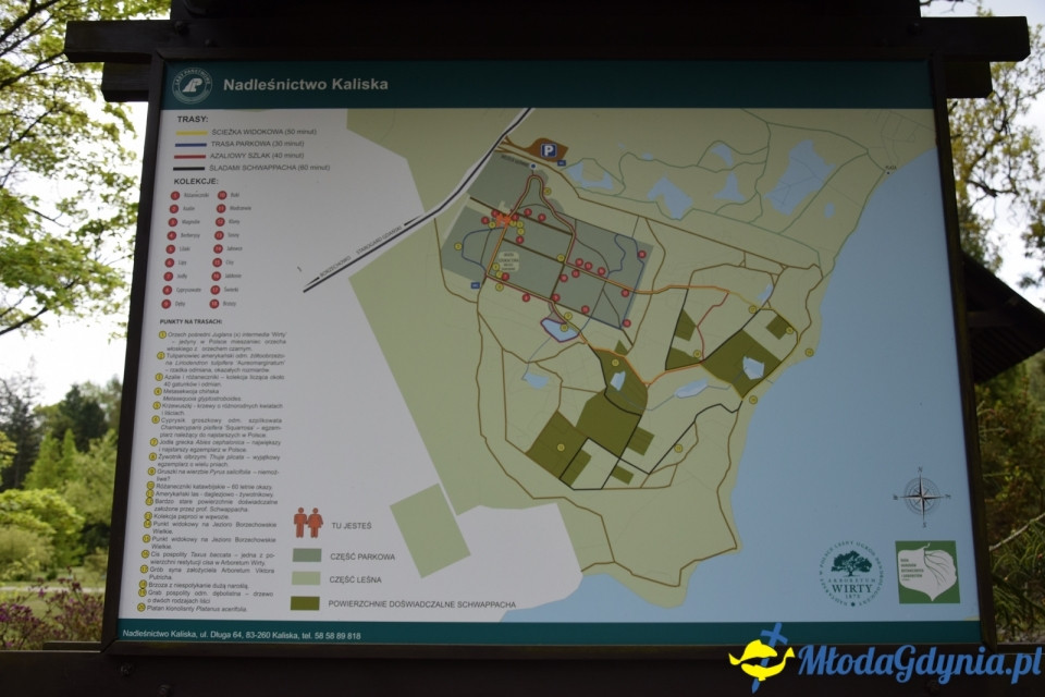 Wycieczka PTTK Klubu Turystycznego Wybrzeże do Arboretum w Wirtach