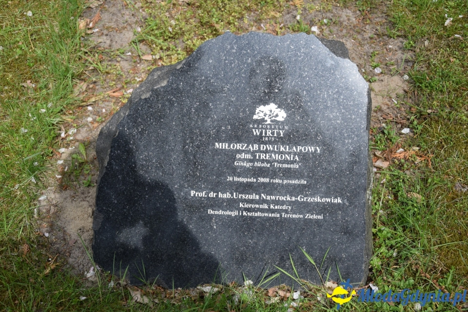 Wycieczka PTTK Klubu Turystycznego Wybrzeże do Arboretum w Wirtach