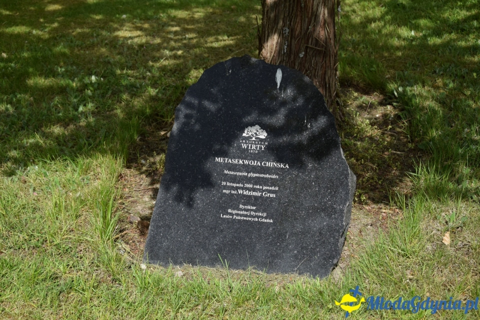 Wycieczka PTTK Klubu Turystycznego Wybrzeże do Arboretum w Wirtach