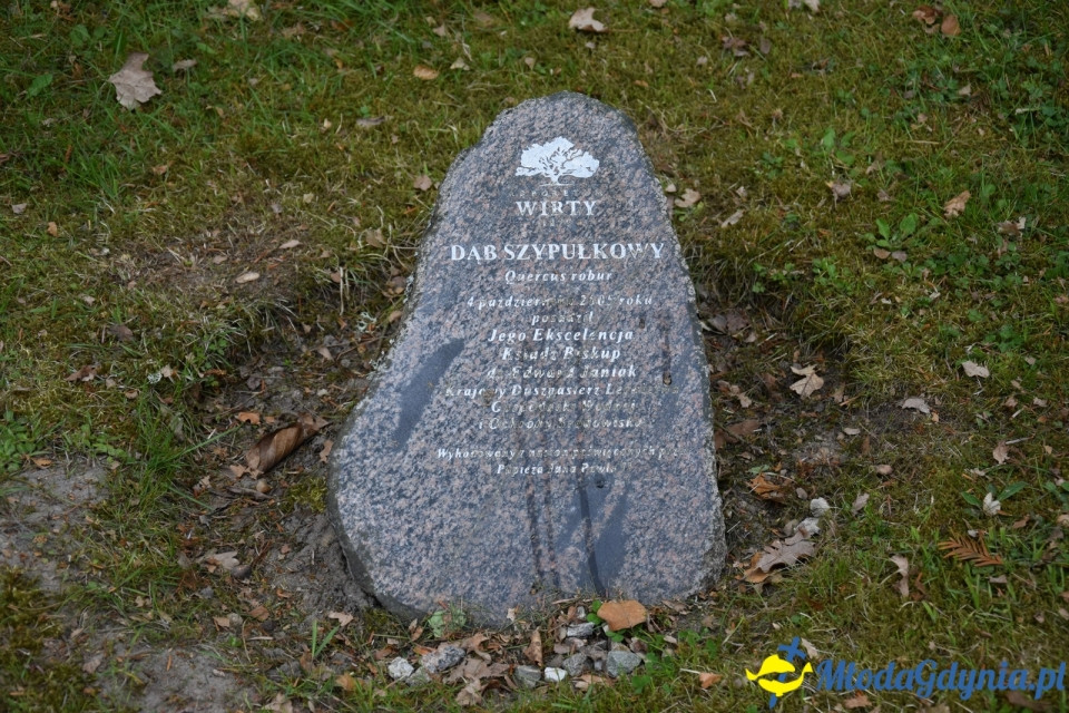 Wycieczka PTTK Klubu Turystycznego Wybrzeże do Arboretum w Wirtach