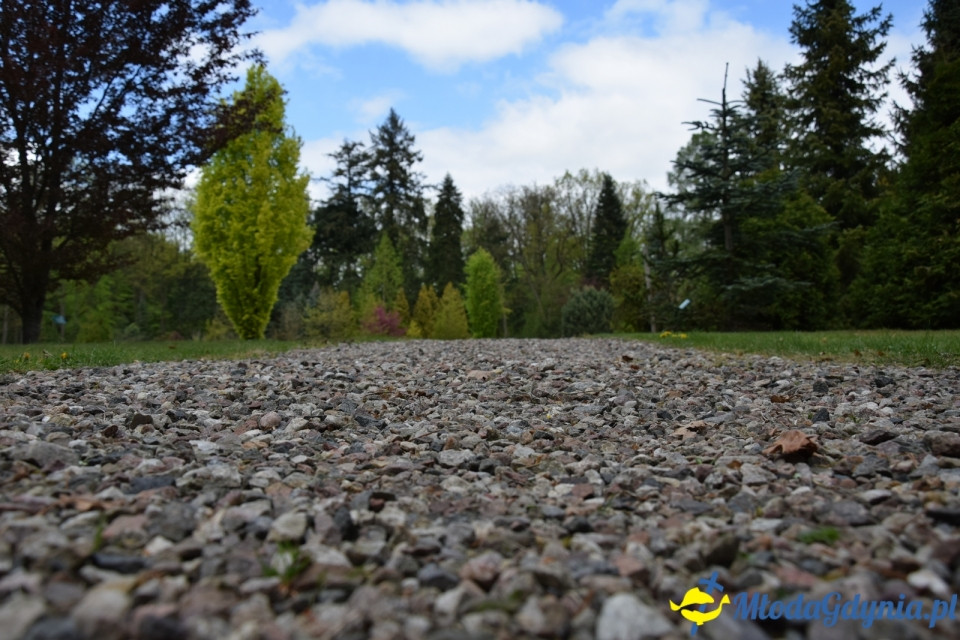 Wycieczka PTTK Klubu Turystycznego Wybrzeże do Arboretum w Wirtach