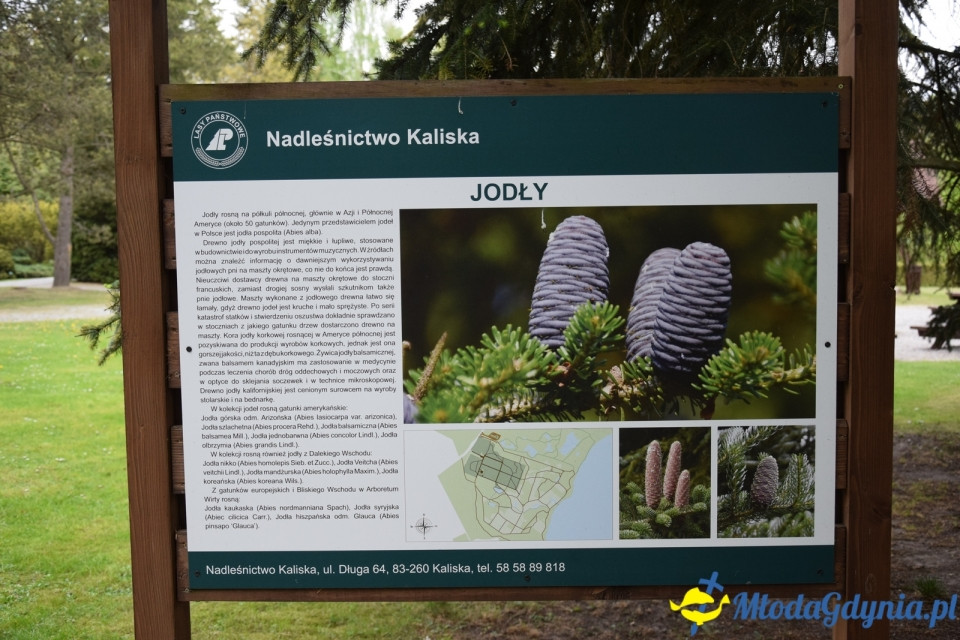 Wycieczka PTTK Klubu Turystycznego Wybrzeże do Arboretum w Wirtach