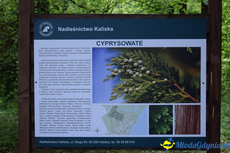 Wycieczka PTTK Klubu Turystycznego Wybrzeże do Arboretum w Wirtach