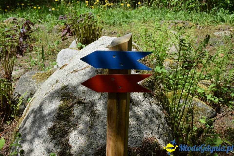 Wycieczka PTTK Klubu Turystycznego Wybrzeże do Arboretum w Wirtach