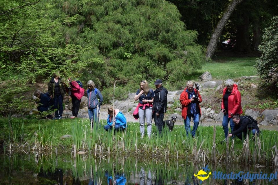 Wycieczka PTTK Klubu Turystycznego Wybrzeże do Arboretum w Wirtach