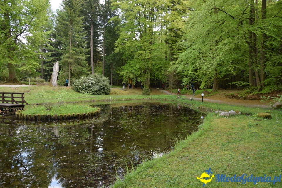 Wycieczka PTTK Klubu Turystycznego Wybrzeże do Arboretum w Wirtach