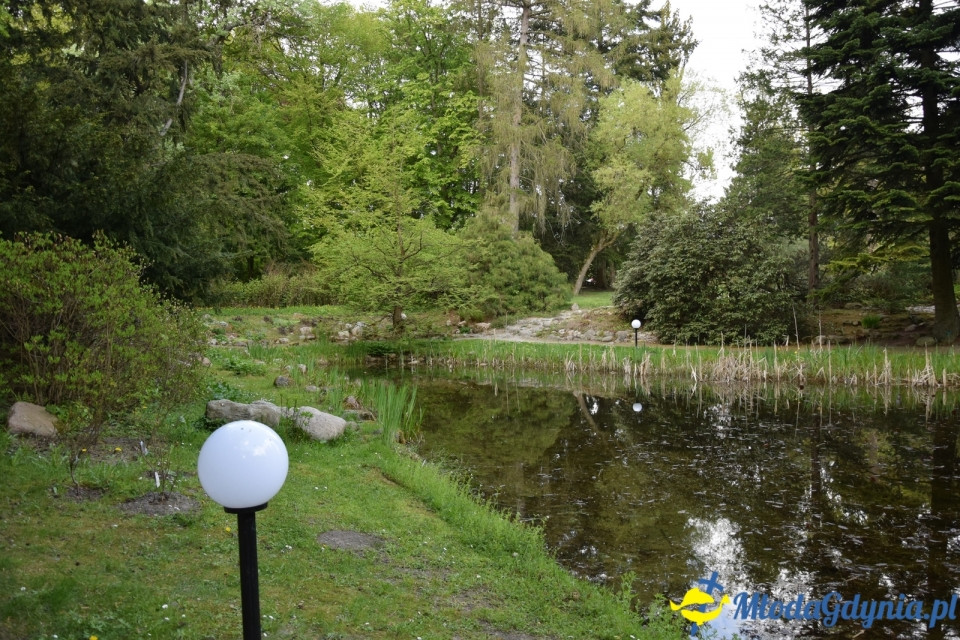 Wycieczka PTTK Klubu Turystycznego Wybrzeże do Arboretum w Wirtach