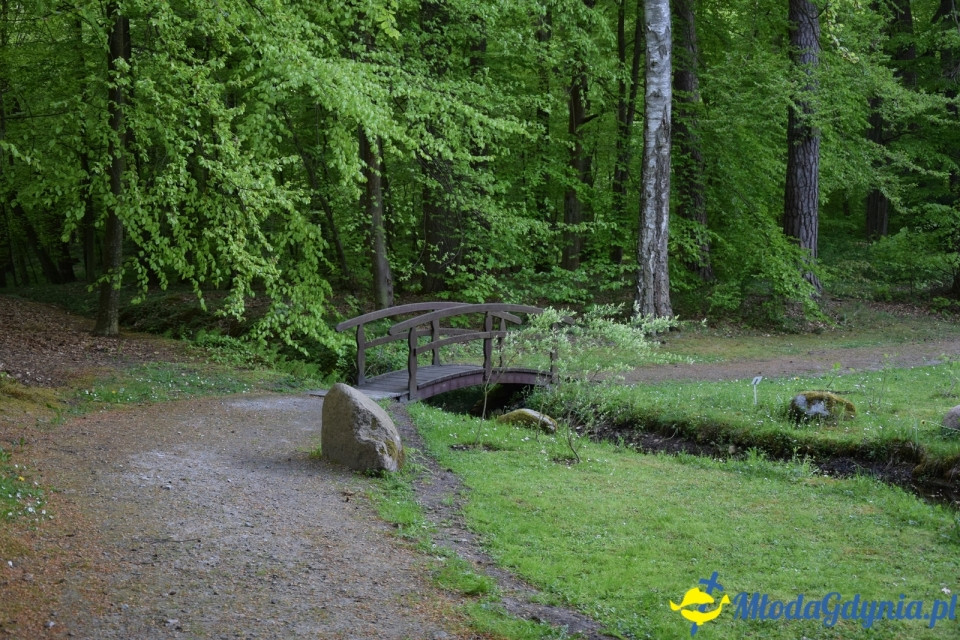 Wycieczka PTTK Klubu Turystycznego Wybrzeże do Arboretum w Wirtach