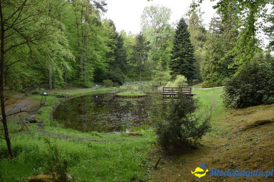 Wycieczka PTTK Klubu Turystycznego Wybrzeże do Arboretum w Wirtach