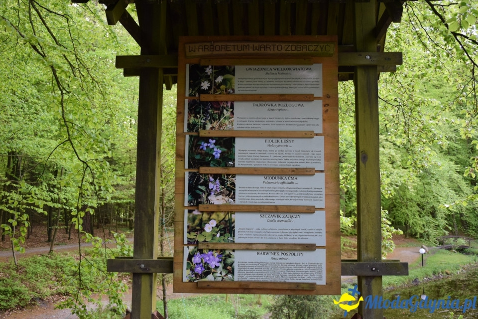 Wycieczka PTTK Klubu Turystycznego Wybrzeże do Arboretum w Wirtach