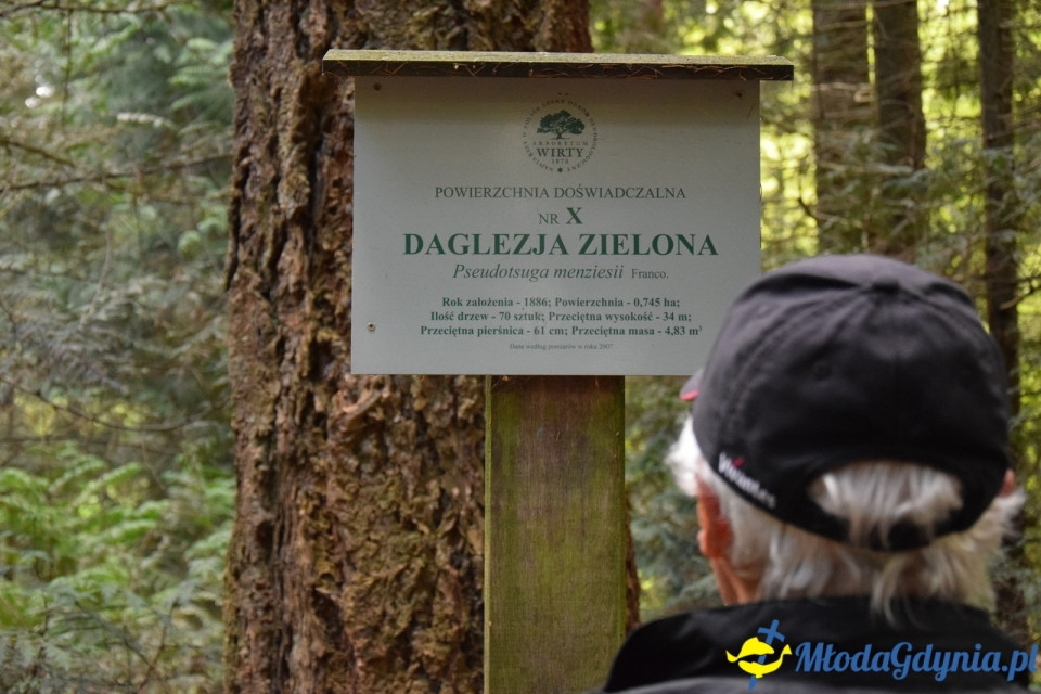 Wycieczka PTTK Klubu Turystycznego Wybrzeże do Arboretum w Wirtach