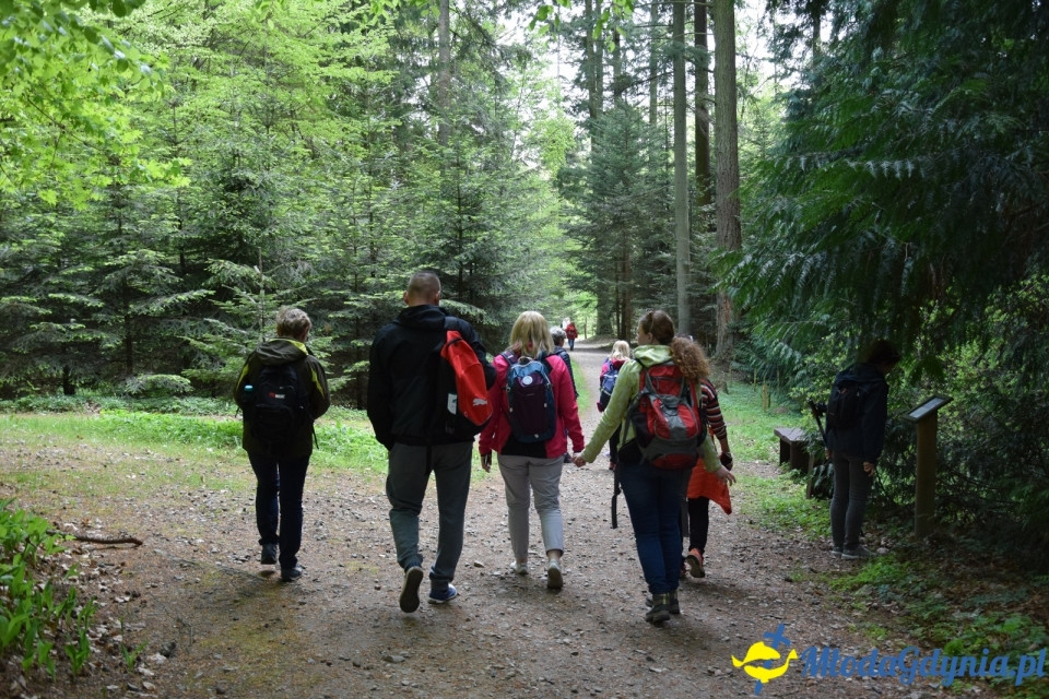 Wycieczka PTTK Klubu Turystycznego Wybrzeże do Arboretum w Wirtach