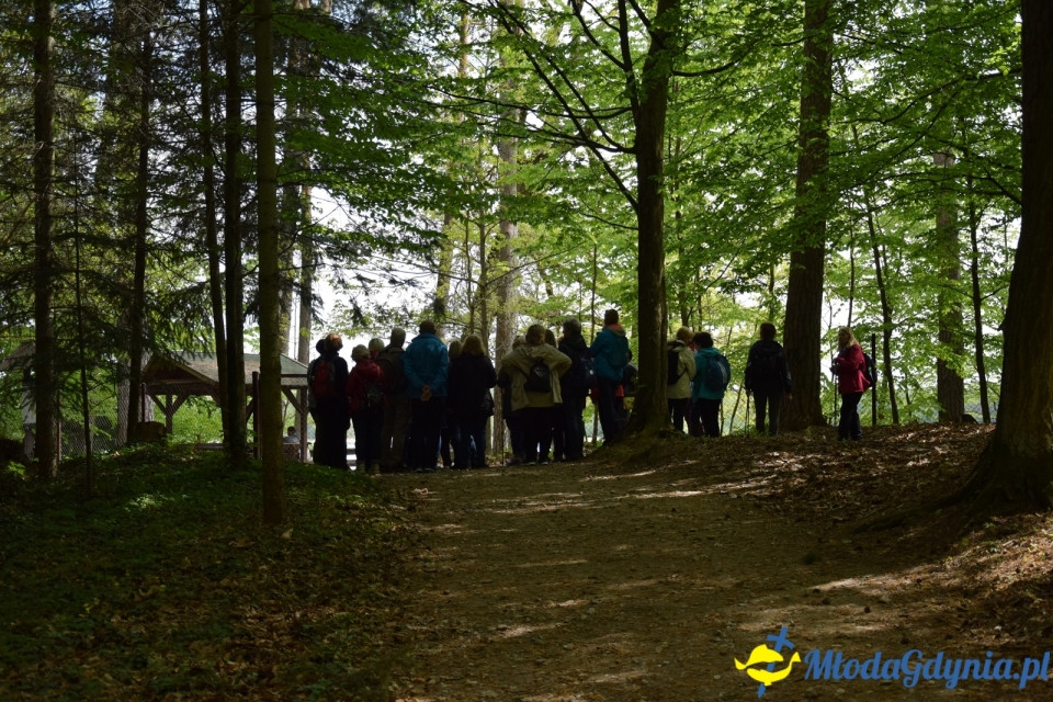 Wycieczka PTTK Klubu Turystycznego Wybrzeże do Arboretum w Wirtach