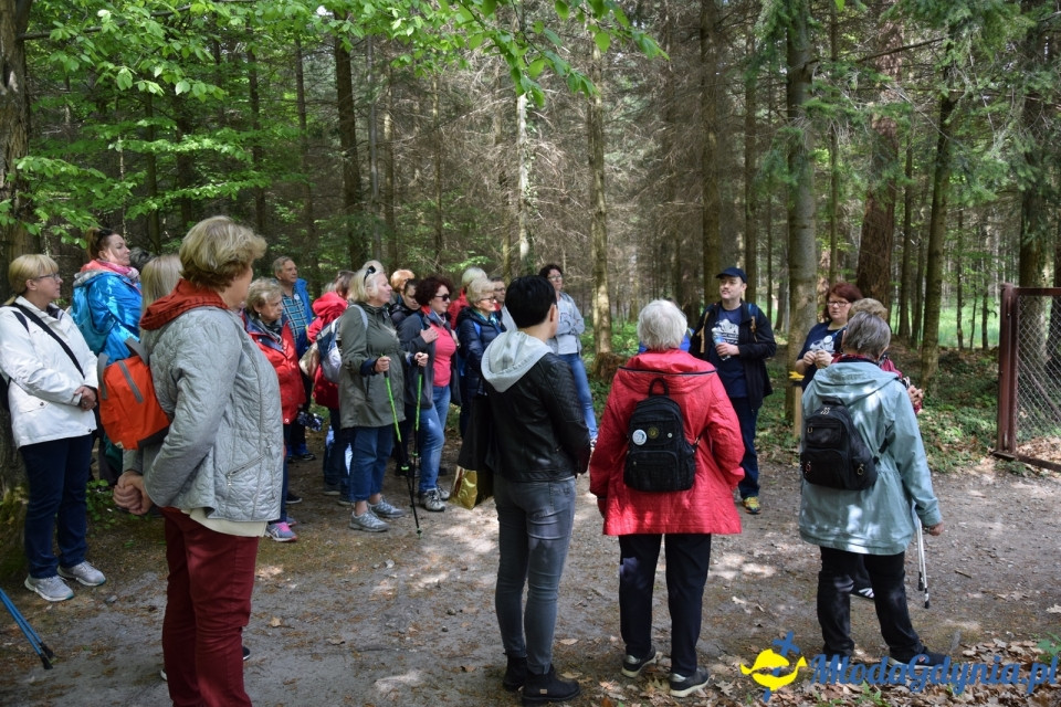Wycieczka PTTK Klubu Turystycznego Wybrzeże do Arboretum w Wirtach