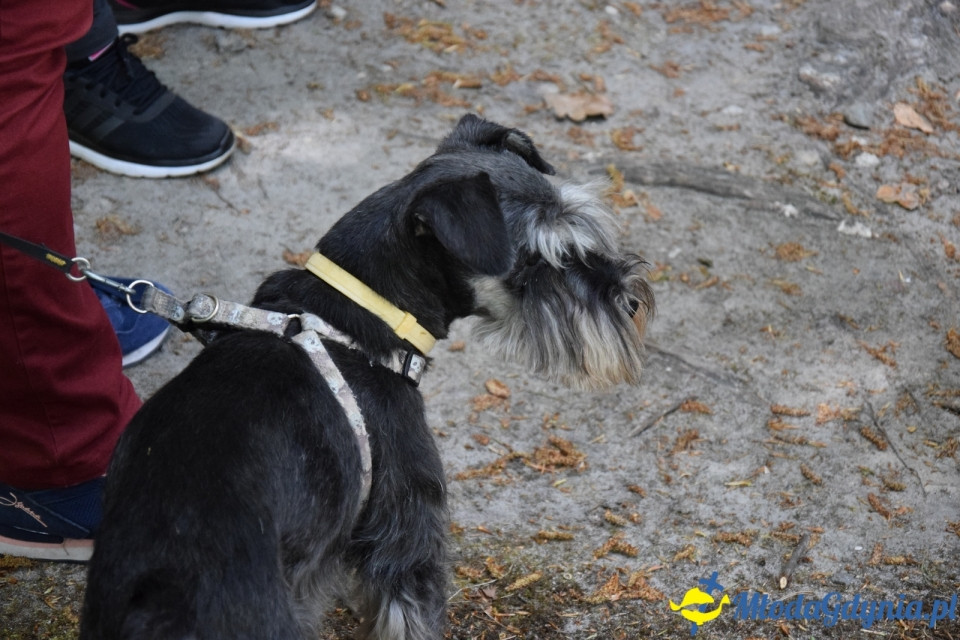 Wycieczka PTTK Klubu Turystycznego Wybrzeże do Arboretum w Wirtach