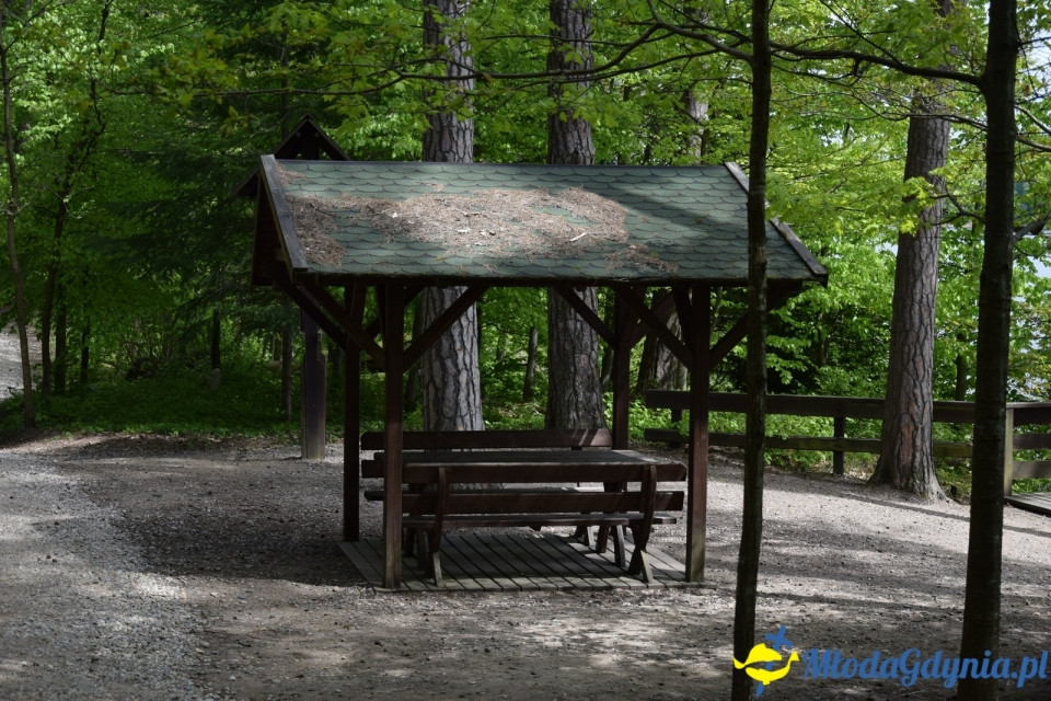 Wycieczka PTTK Klubu Turystycznego Wybrzeże do Arboretum w Wirtach
