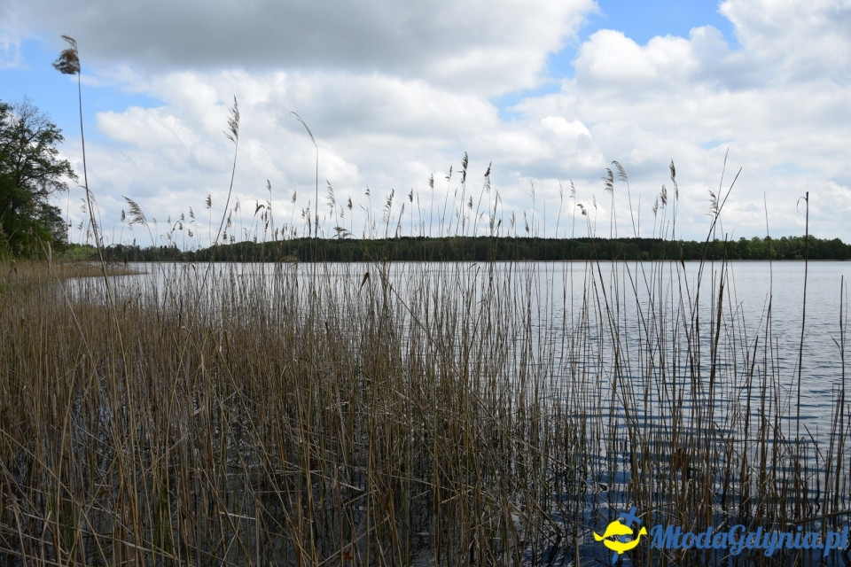 Wycieczka PTTK Klubu Turystycznego Wybrzeże do Arboretum w Wirtach