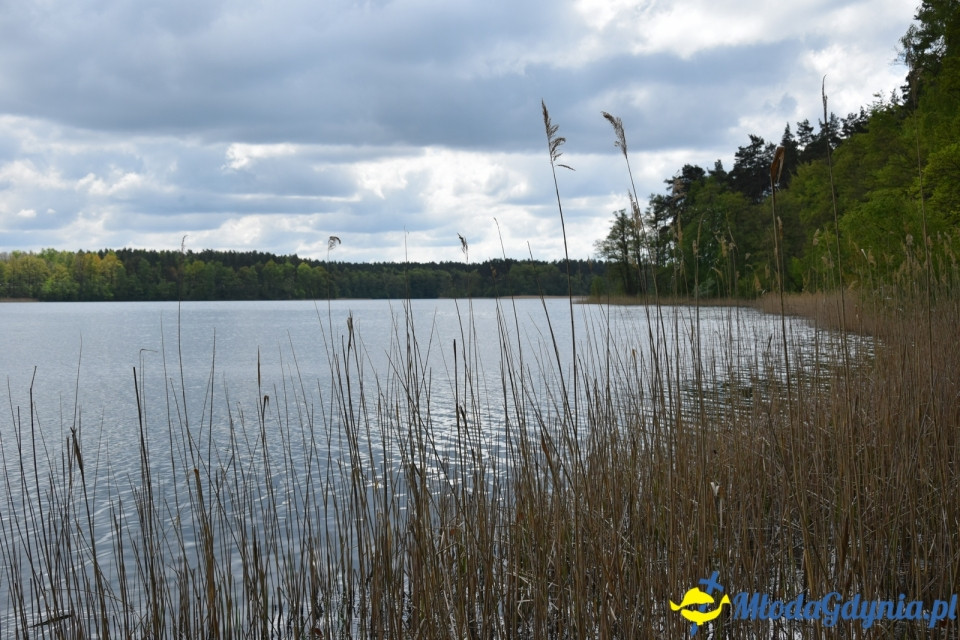 Wycieczka PTTK Klubu Turystycznego Wybrzeże do Arboretum w Wirtach