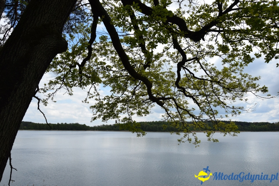 Wycieczka PTTK Klubu Turystycznego Wybrzeże do Arboretum w Wirtach