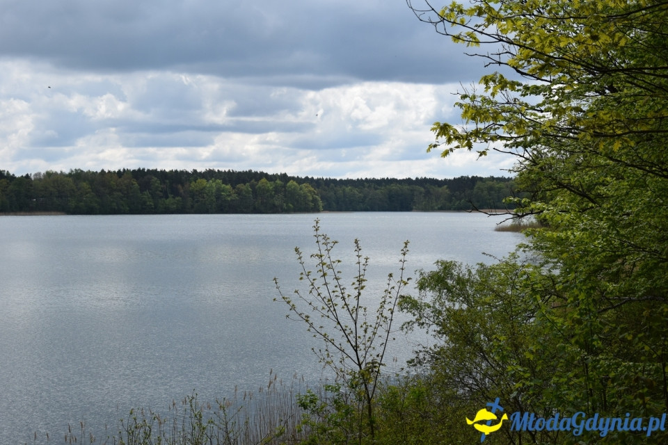 Wycieczka PTTK Klubu Turystycznego Wybrzeże do Arboretum w Wirtach