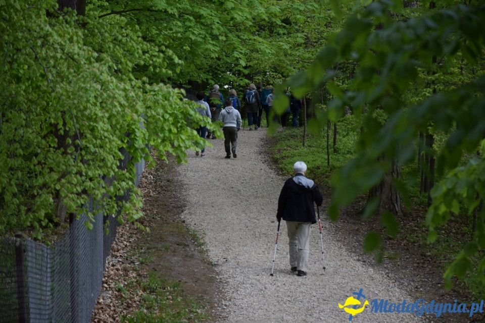Wycieczka PTTK Klubu Turystycznego Wybrzeże do Arboretum w Wirtach