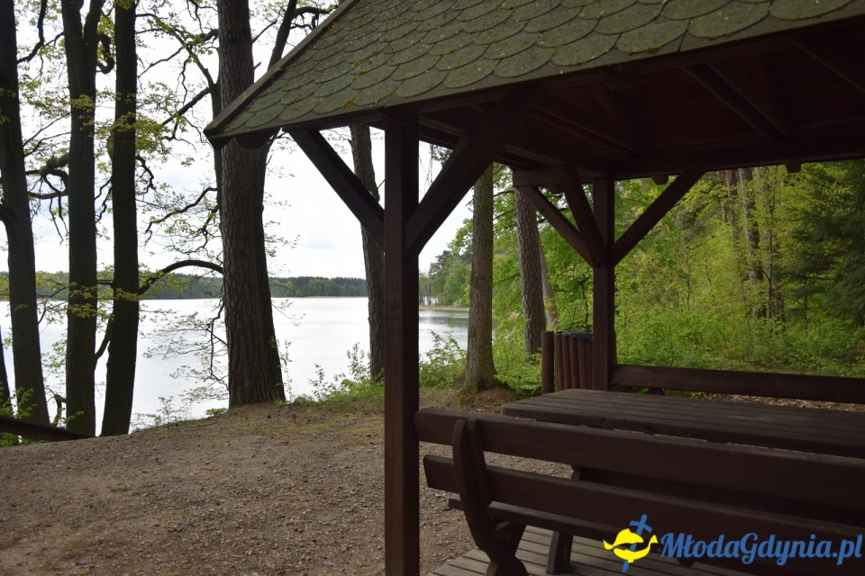 Wycieczka PTTK Klubu Turystycznego Wybrzeże do Arboretum w Wirtach