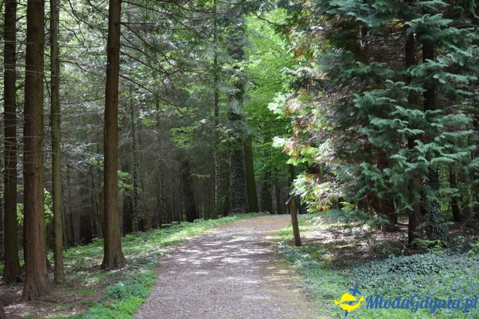 Wycieczka PTTK Klubu Turystycznego Wybrzeże do Arboretum w Wirtach