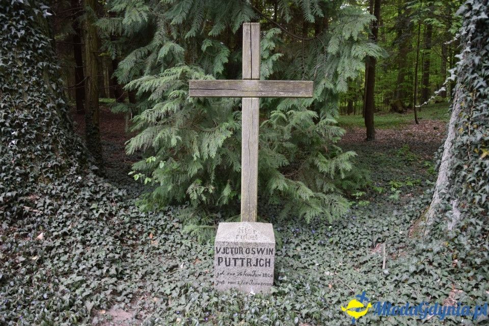 Wycieczka PTTK Klubu Turystycznego Wybrzeże do Arboretum w Wirtach