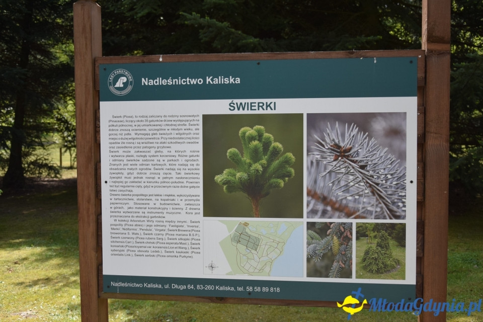Wycieczka PTTK Klubu Turystycznego Wybrzeże do Arboretum w Wirtach