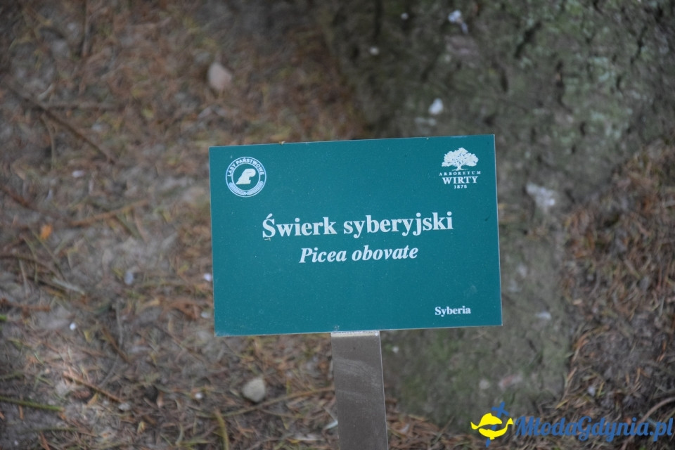 Wycieczka PTTK Klubu Turystycznego Wybrzeże do Arboretum w Wirtach