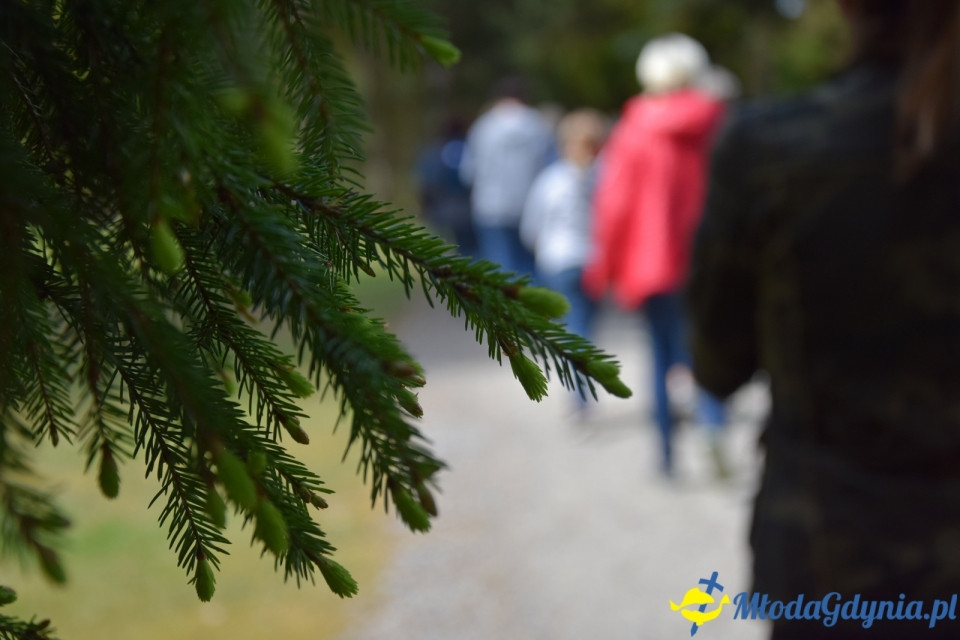 Wycieczka PTTK Klubu Turystycznego Wybrzeże do Arboretum w Wirtach