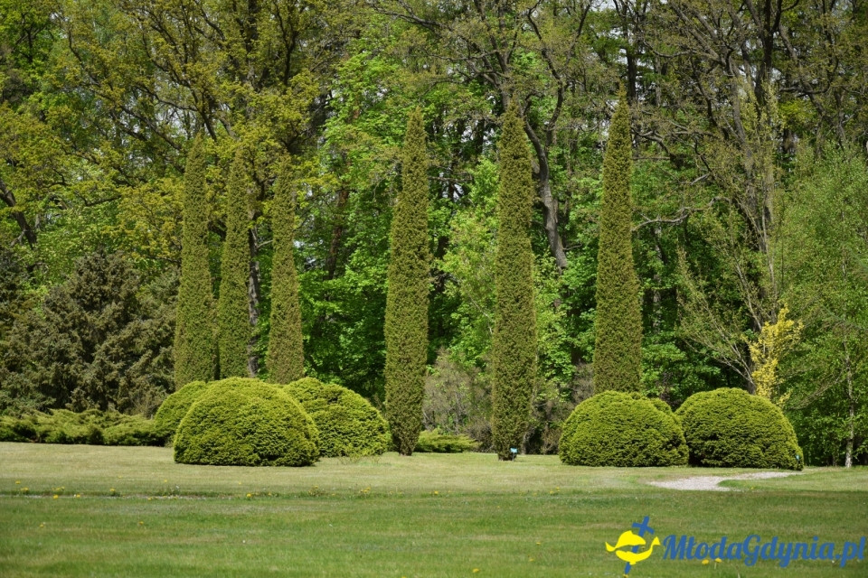 Wycieczka PTTK Klubu Turystycznego Wybrzeże do Arboretum w Wirtach