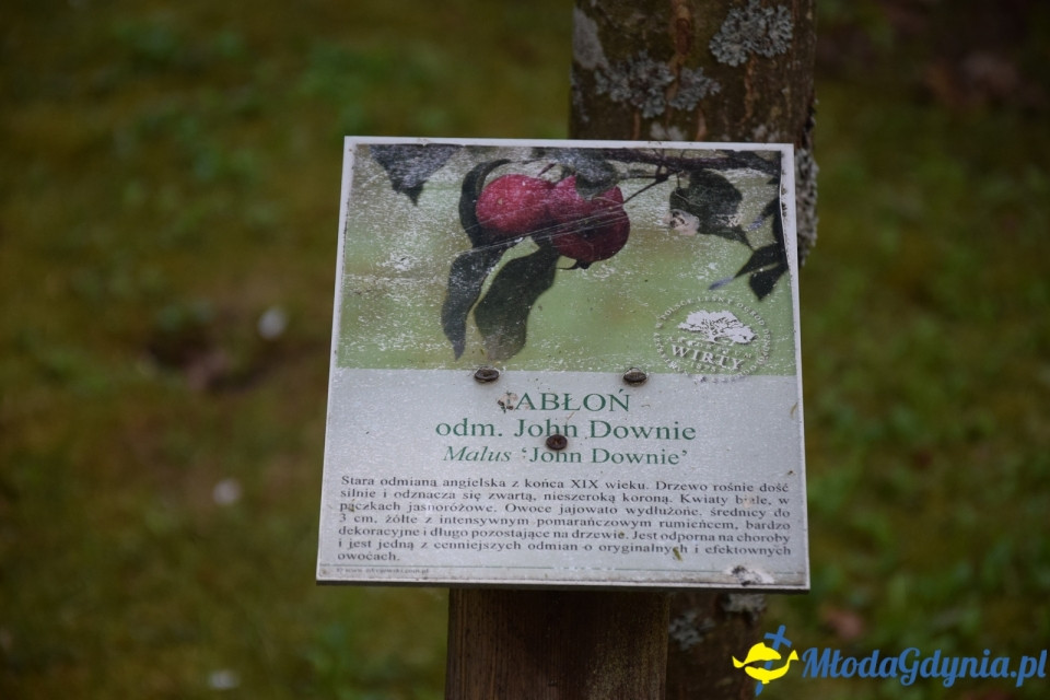 Wycieczka PTTK Klubu Turystycznego Wybrzeże do Arboretum w Wirtach