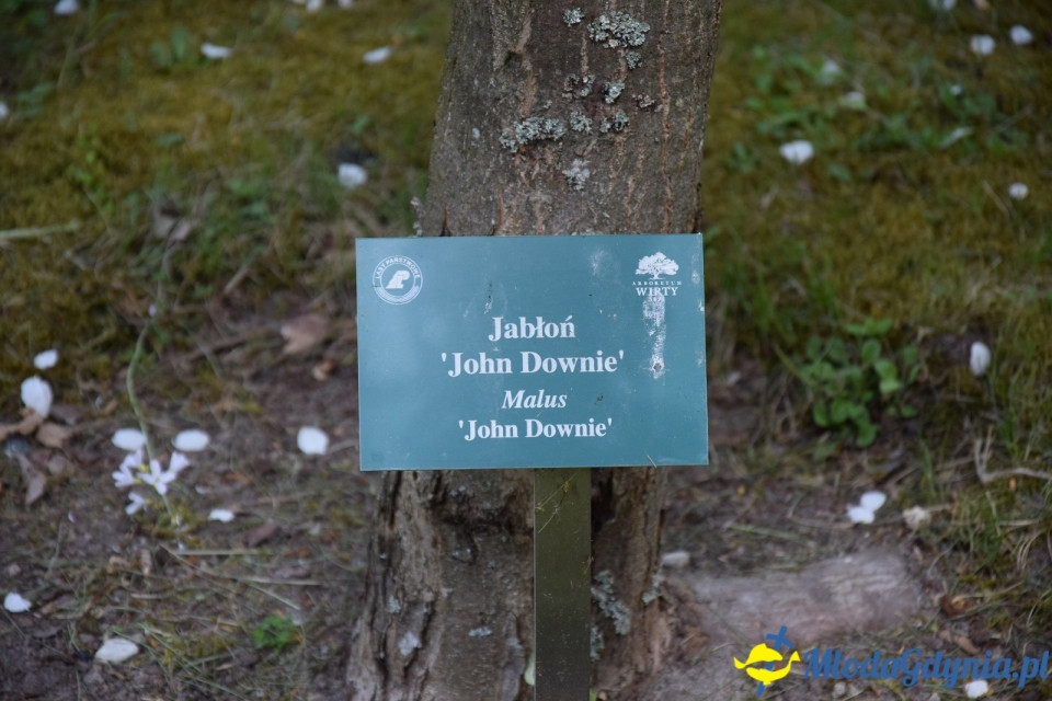 Wycieczka PTTK Klubu Turystycznego Wybrzeże do Arboretum w Wirtach