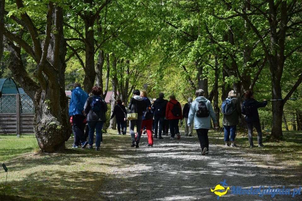 Wycieczka PTTK Klubu Turystycznego Wybrzeże do Arboretum w Wirtach