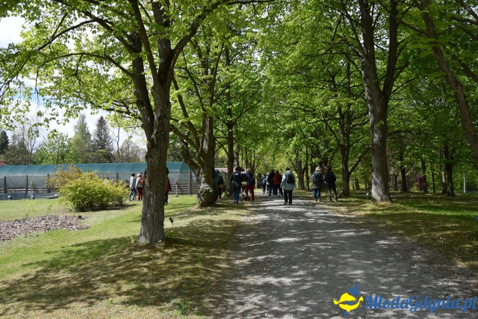 Wycieczka PTTK Klubu Turystycznego Wybrzeże do Arboretum w Wirtach