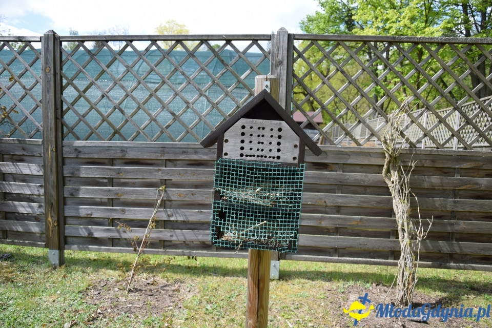 Wycieczka PTTK Klubu Turystycznego Wybrzeże do Arboretum w Wirtach