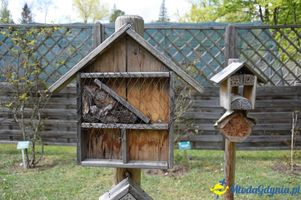 Wycieczka PTTK Klubu Turystycznego Wybrzeże do Arboretum w Wirtach