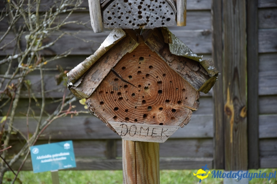 Wycieczka PTTK Klubu Turystycznego Wybrzeże do Arboretum w Wirtach