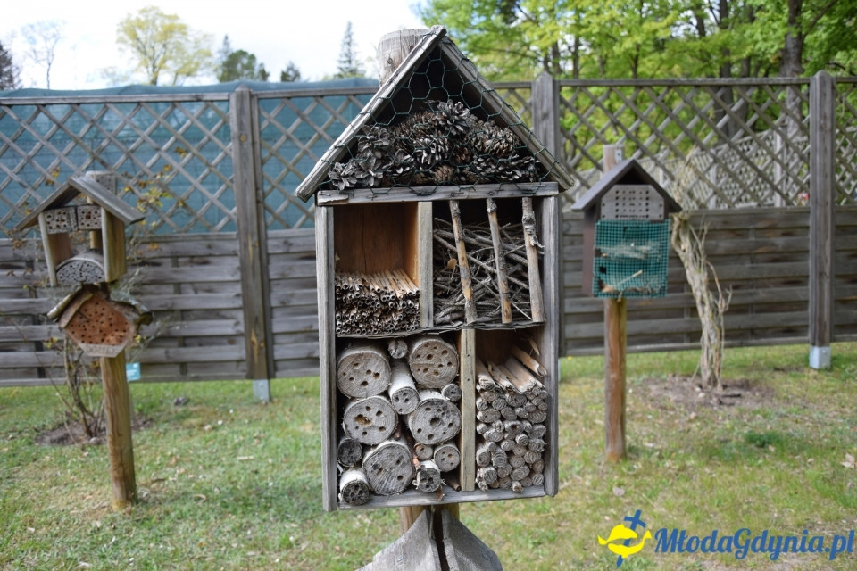 Wycieczka PTTK Klubu Turystycznego Wybrzeże do Arboretum w Wirtach