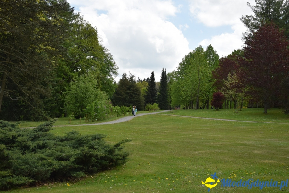 Wycieczka PTTK Klubu Turystycznego Wybrzeże do Arboretum w Wirtach