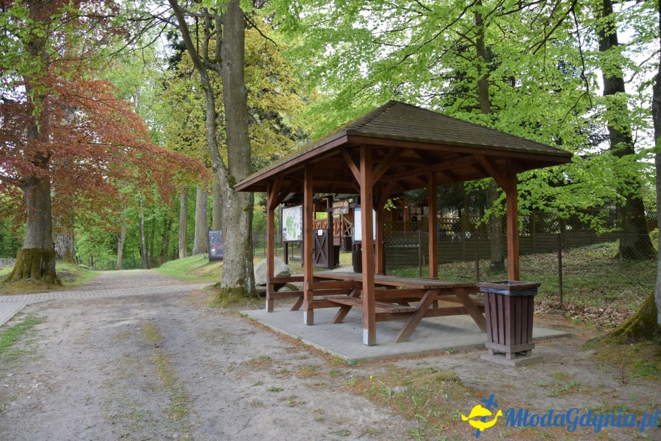 Wycieczka PTTK Klubu Turystycznego Wybrzeże do Arboretum w Wirtach