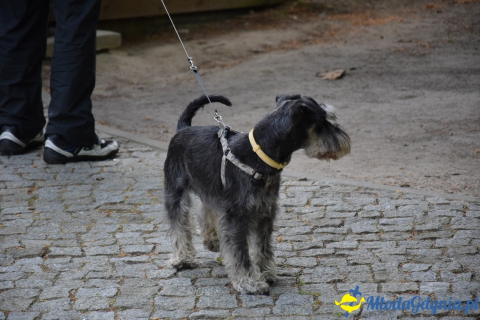Wycieczka PTTK Klubu Turystycznego Wybrzeże do Arboretum w Wirtach