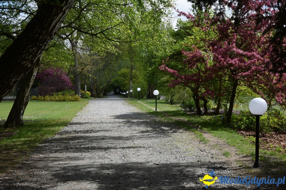 Wycieczka PTTK Klubu Turystycznego Wybrzeże do Arboretum w Wirtach