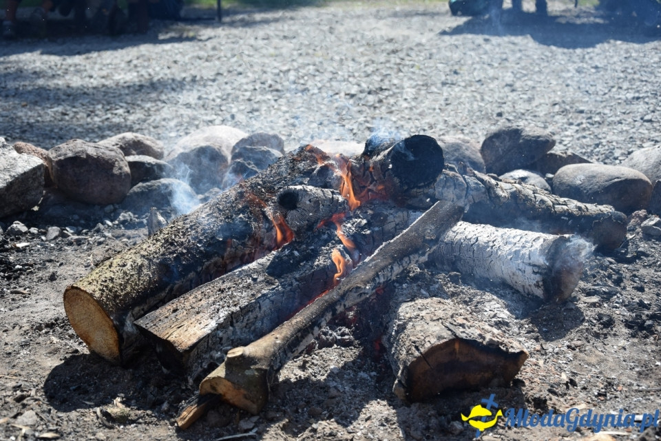 Wycieczka PTTK Klubu Turystycznego Wybrzeże do Arboretum w Wirtach