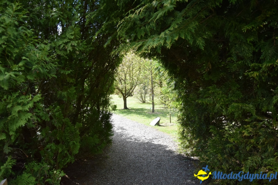 Wycieczka PTTK Klubu Turystycznego Wybrzeże do Arboretum w Wirtach